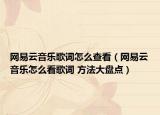 网易云音乐歌词怎么查看（网易云音乐怎么看歌词 方法大盘点）