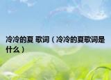 冷冷的夏 歌词（冷冷的夏歌词是什么）