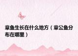 章鱼生长在什么地方（章公鱼分布在哪里）