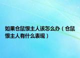 如果仓鼠恨主人该怎么办（仓鼠恨主人有什么表现）