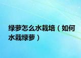 绿萝怎么水栽培（如何水栽绿萝）