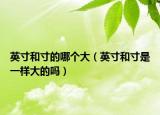 英寸和寸的哪个大（英寸和寸是一样大的吗）