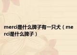 merci是什么牌子有一只犬（merci是什么牌子）