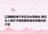 江西鄱阳湖千年石岛水落墩出 吸引众人来打卡观赏具体情况详细内容介绍