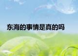 东海的事情是真的吗