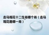 走马观花十二生肖哪个肖（走马观花是哪一肖）