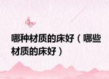 哪种材质的床好（哪些材质的床好）