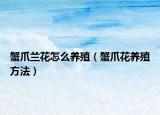 蟹爪兰花怎么养殖（蟹爪花养殖方法）
