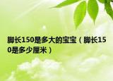 脚长150是多大的宝宝（脚长150是多少厘米）