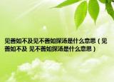 见善如不及见不善如探汤是什么意思（见善如不及 见不善如探汤是什么意思）