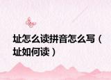 址怎么读拼音怎么写（址如何读）