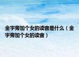 金字旁加个女的读音是什么（金字旁加个女的读音）