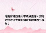 河南财经政法大学绩点查询（河南财经政法大学如何查询成绩怎么操作）