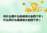 风什么雨什么的成语大全四个字（什么风什么雨成语大全四个字）