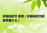 好雨知时节 意思（好雨知时节的意思是什么）