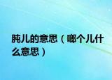 肫儿的意思（啷个儿什么意思）