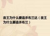 夜王为什么要追杀布兰达（夜王为什么要追杀布兰）
