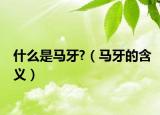 什么是马牙?（马牙的含义）