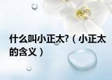 什么叫小正太?（小正太的含义）
