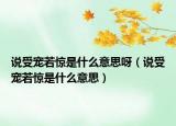 说受宠若惊是什么意思呀（说受宠若惊是什么意思）