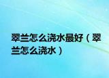 翠兰怎么浇水最好（翠兰怎么浇水）