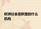 欧洲议会是欧盟的什么机构