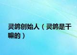 灵鸽创始人（灵鸽是干嘛的）