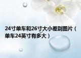 24寸单车和26寸大小差别图片（单车24英寸有多大）