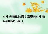斗牛犬有体味吗（家里养斗牛有味道解决方法）