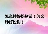 怎么种好松树苗（怎么种好松树）