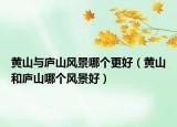 黄山与庐山风景哪个更好（黄山和庐山哪个风景好）