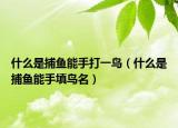 什么是捕鱼能手打一鸟（什么是捕鱼能手填鸟名）