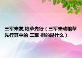 三军未发,粮草先行（三军未动粮草先行其中的 三军 指的是什么）
