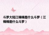 斗罗大陆江楠楠是什么斗罗（江楠楠是什么斗罗）