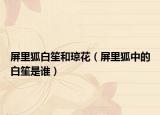 屏里狐白笙和琼花（屏里狐中的白笙是谁）