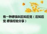 有一种感情叫后知后觉（后知后觉 感情经验分享）