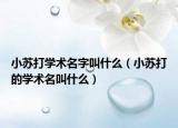 小苏打学术名字叫什么（小苏打的学术名叫什么）