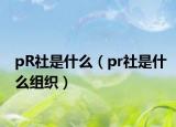 pR社是什么（pr社是什么组织）