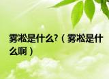 雾凇是什么?（雾凇是什么啊）