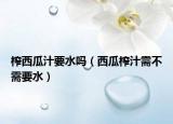 榨西瓜汁要水吗（西瓜榨汁需不需要水）