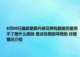 9月08日最新更新内容花呗有额度但是用不了是什么原因 是这些原因导致的 详细情况介绍
