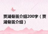 贾湖骨笛介绍200字（贾湖骨笛介绍）