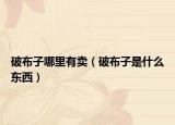 破布子哪里有卖（破布子是什么东西）