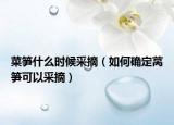 菜笋什么时候采摘（如何确定莴笋可以采摘）