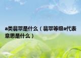 a类翡翠是什么（翡翠等级a代表意思是什么）
