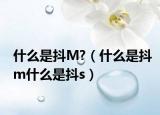 什么是抖M?（什么是抖m什么是抖s）