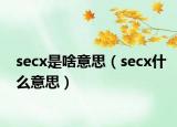 secx是啥意思（secx什么意思）