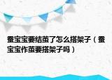 蚕宝宝要结茧了怎么搭架子（蚕宝宝作茧要搭架子吗）