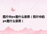 图片中px是什么意思（照片中的px是什么意思）
