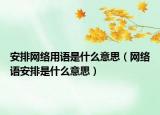 安排网络用语是什么意思（网络语安排是什么意思）